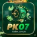 PK07 Game