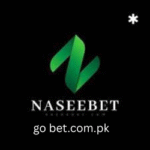 NASEEBET Game