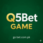 Q5BET Game