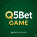 Q5BET Game