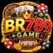 BR789 Game