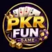 PKRFUN Game