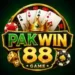 PAKWIN88 Game